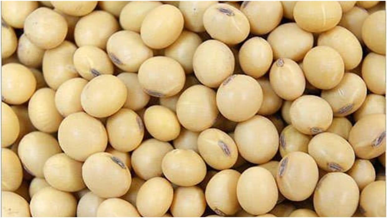 MP News: Soybean purchased from farmers at support price from 25 October to 31 December