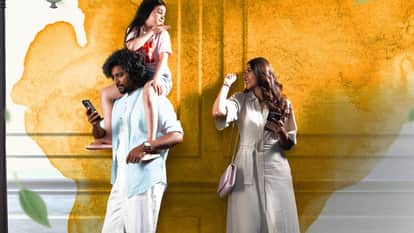 Mrunal Thakur films do deewane seher me and son of sardaar 2 collection exept dacoit