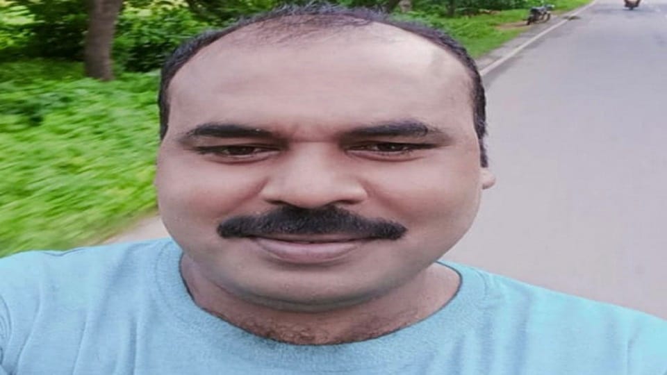 Beekeeper dies after high tension line wire breaks and falls