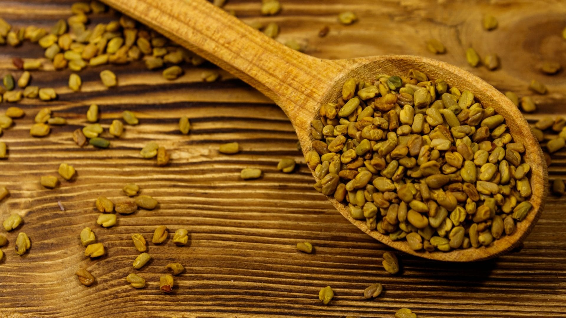 Methi Sprouts Benefits The secret of health is hidden in every seed why are fenugreek sprouts necessary