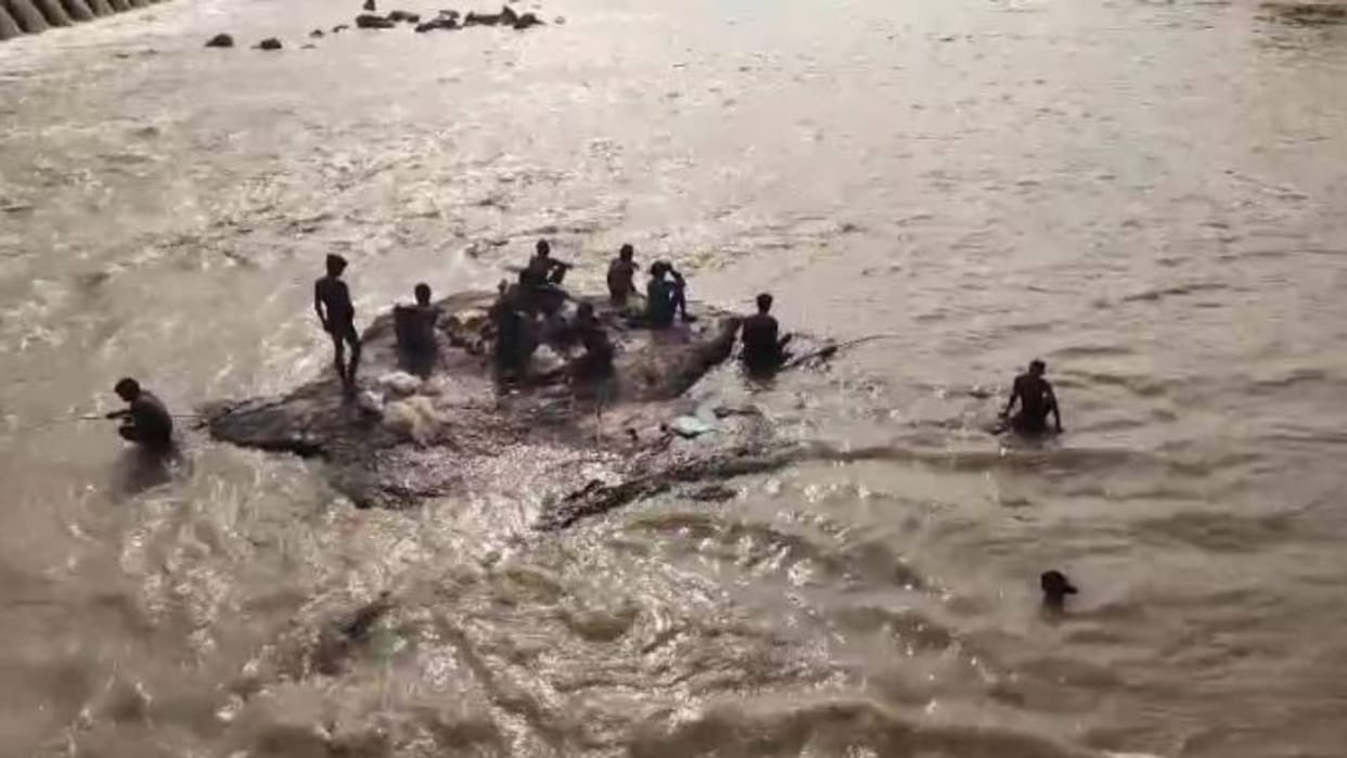 Chhatarpur Innocent people risking their lives for fish if they make mistake they will end up jaws of death