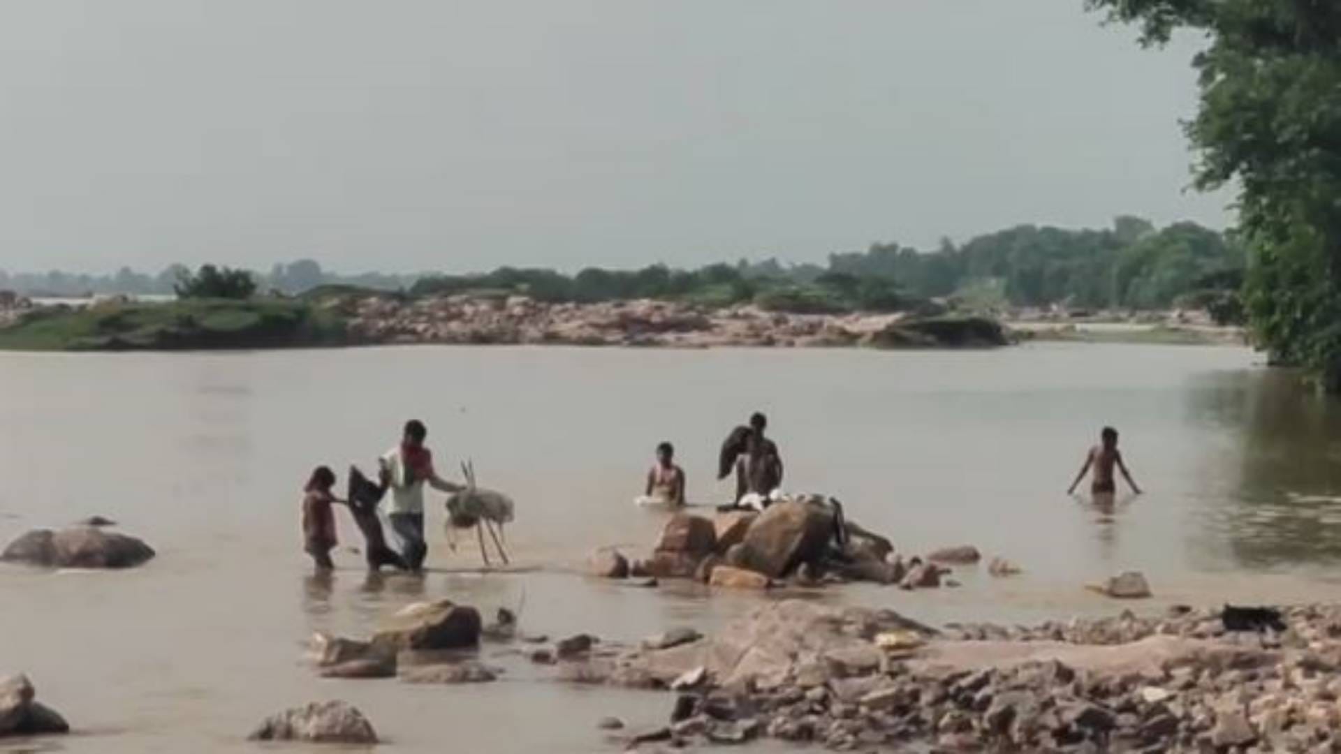 Chhatarpur Innocent people risking their lives for fish if they make mistake they will end up jaws of death