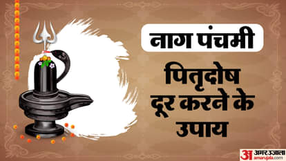 Nag panchami 2024 Do These Remedies or Upay to remove PitruDosh From Kundali
