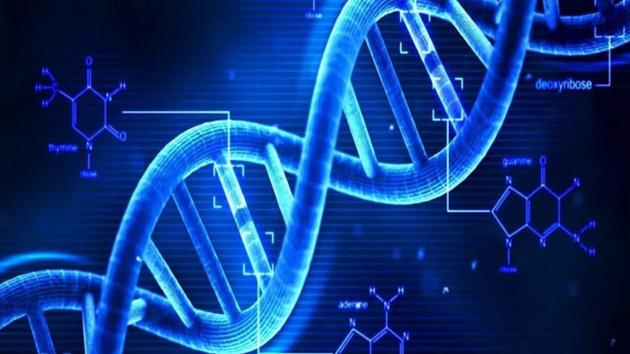 Nano particles present in drinking water can also damage DNA revealed in a joint study