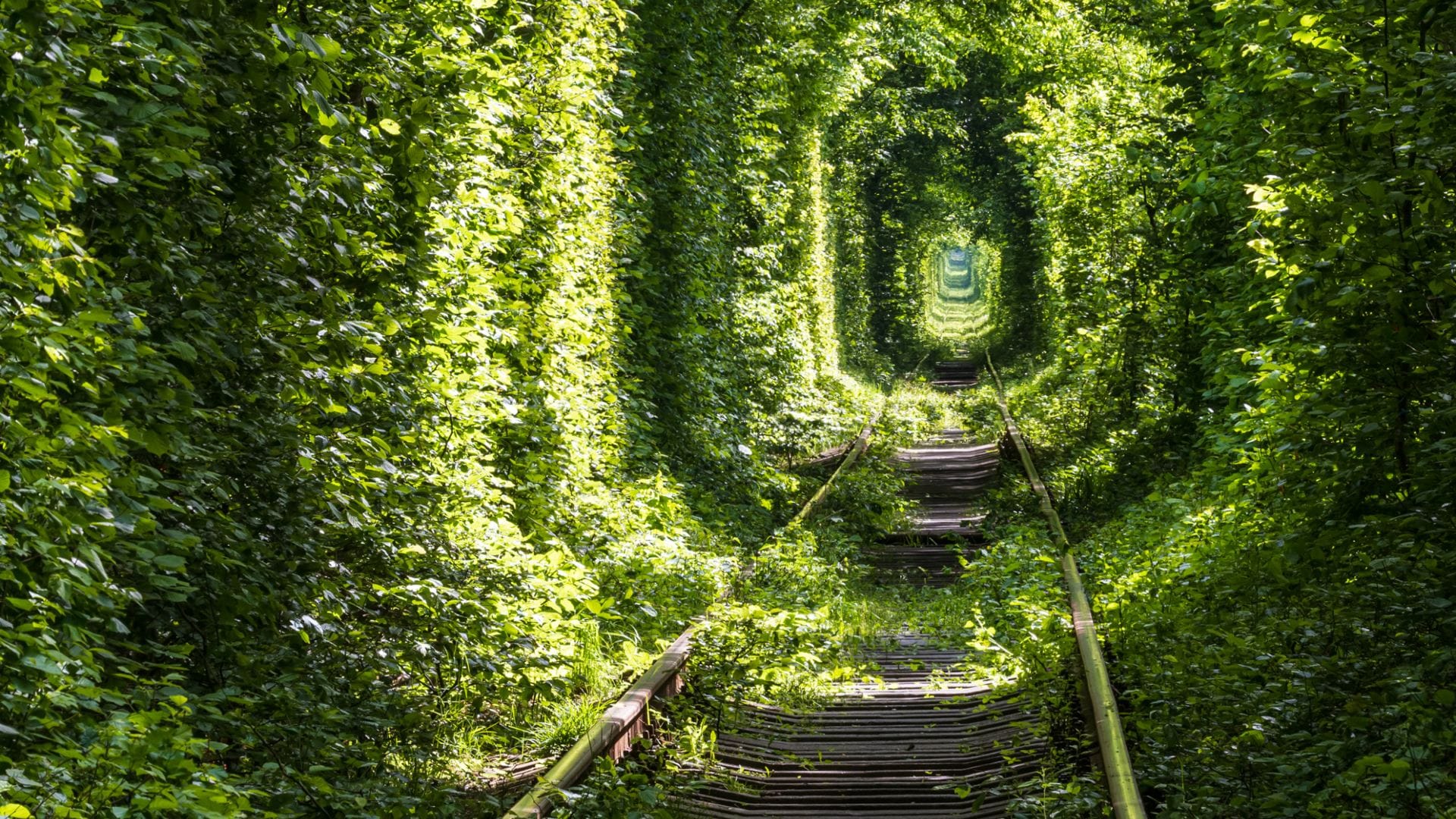Tunnel of Love amazing tunnel of love gives beautiful scenery fate changing charm for lovers