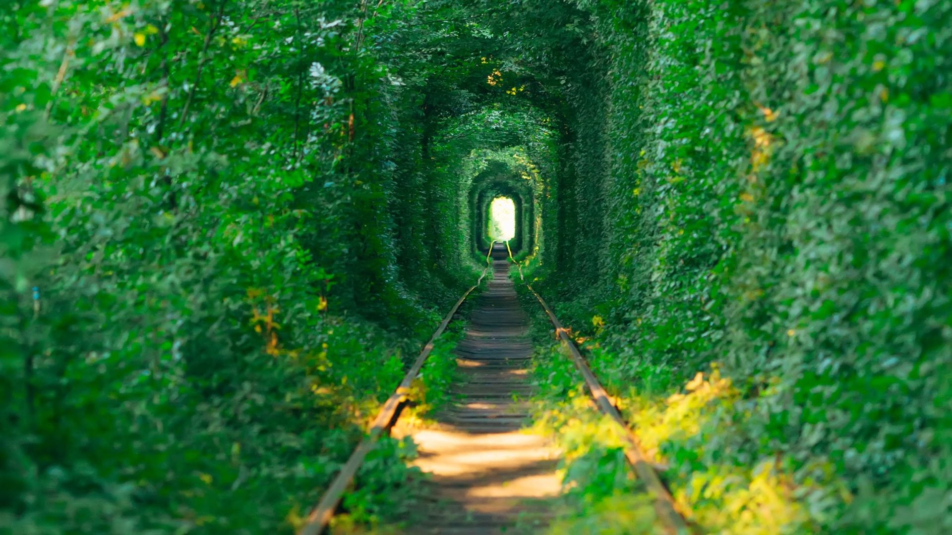 Tunnel of Love amazing tunnel of love gives beautiful scenery fate changing charm for lovers