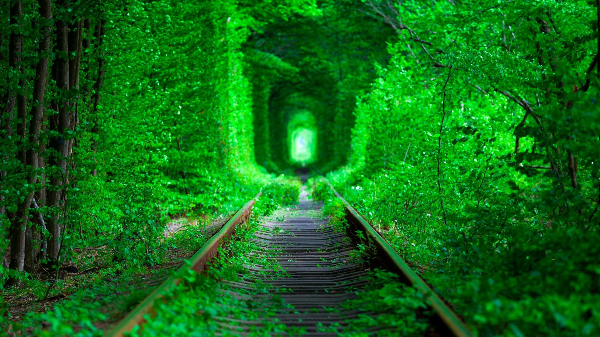 Tunnel of Love amazing tunnel of love gives beautiful scenery fate changing charm for lovers