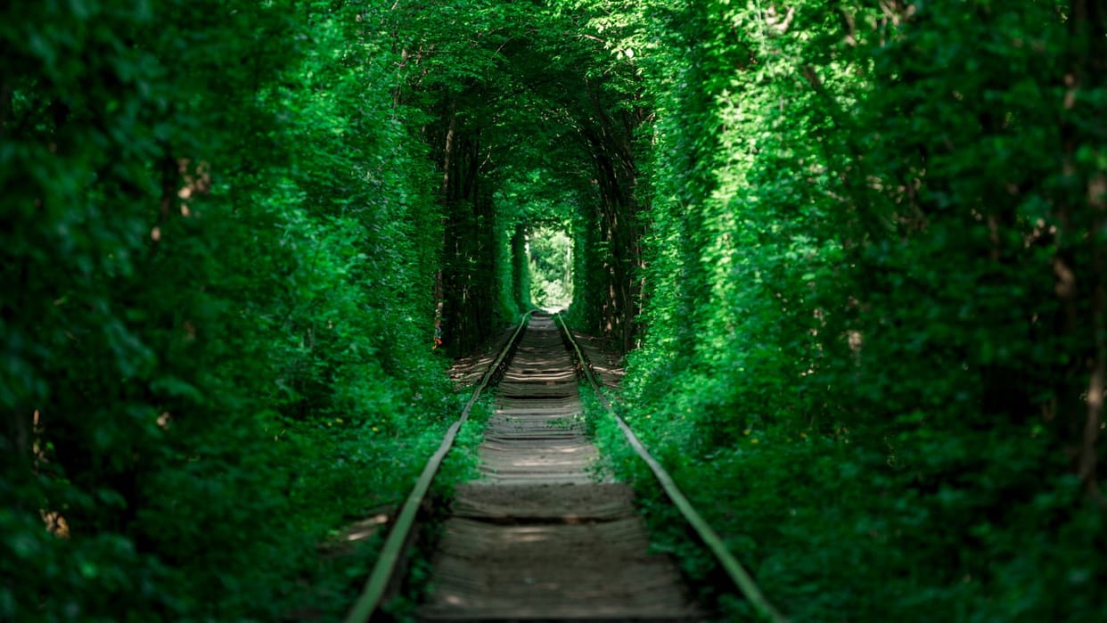 Tunnel of Love amazing tunnel of love gives beautiful scenery fate changing charm for lovers