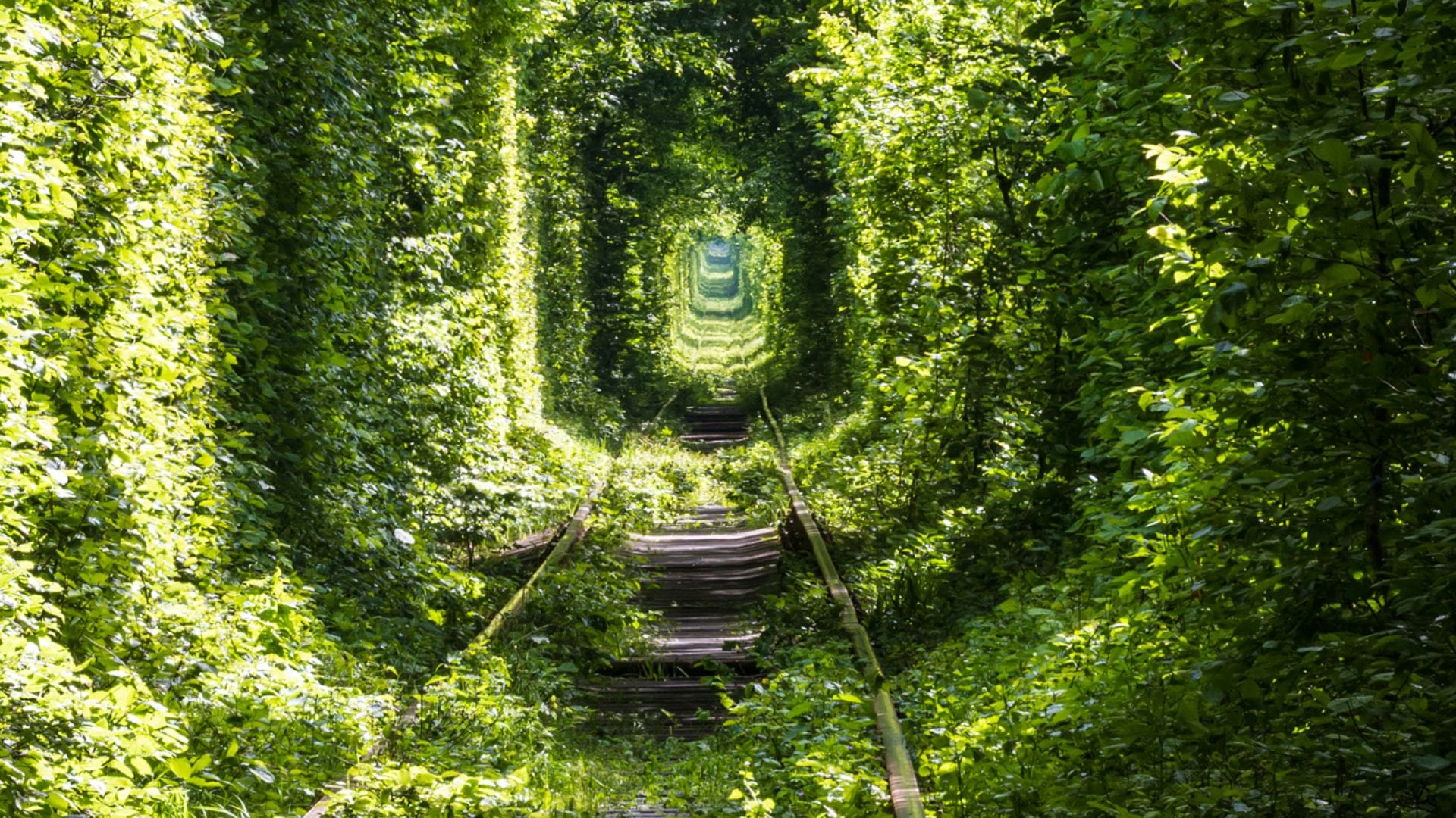 Tunnel of Love amazing tunnel of love gives beautiful scenery fate changing charm for lovers