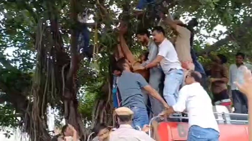 The young man created a ruckus by climbing a tree for an hour