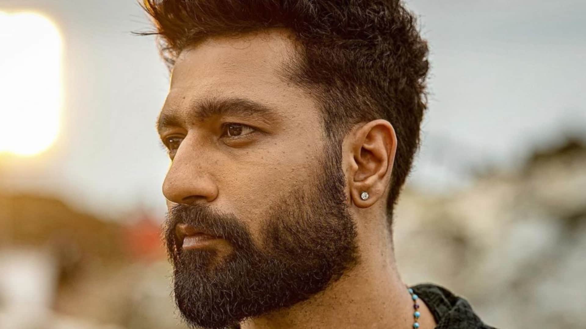 Bad Newz box office collection day 14 click here to known about Tripti Dimri Vicky Kaushal film total earning