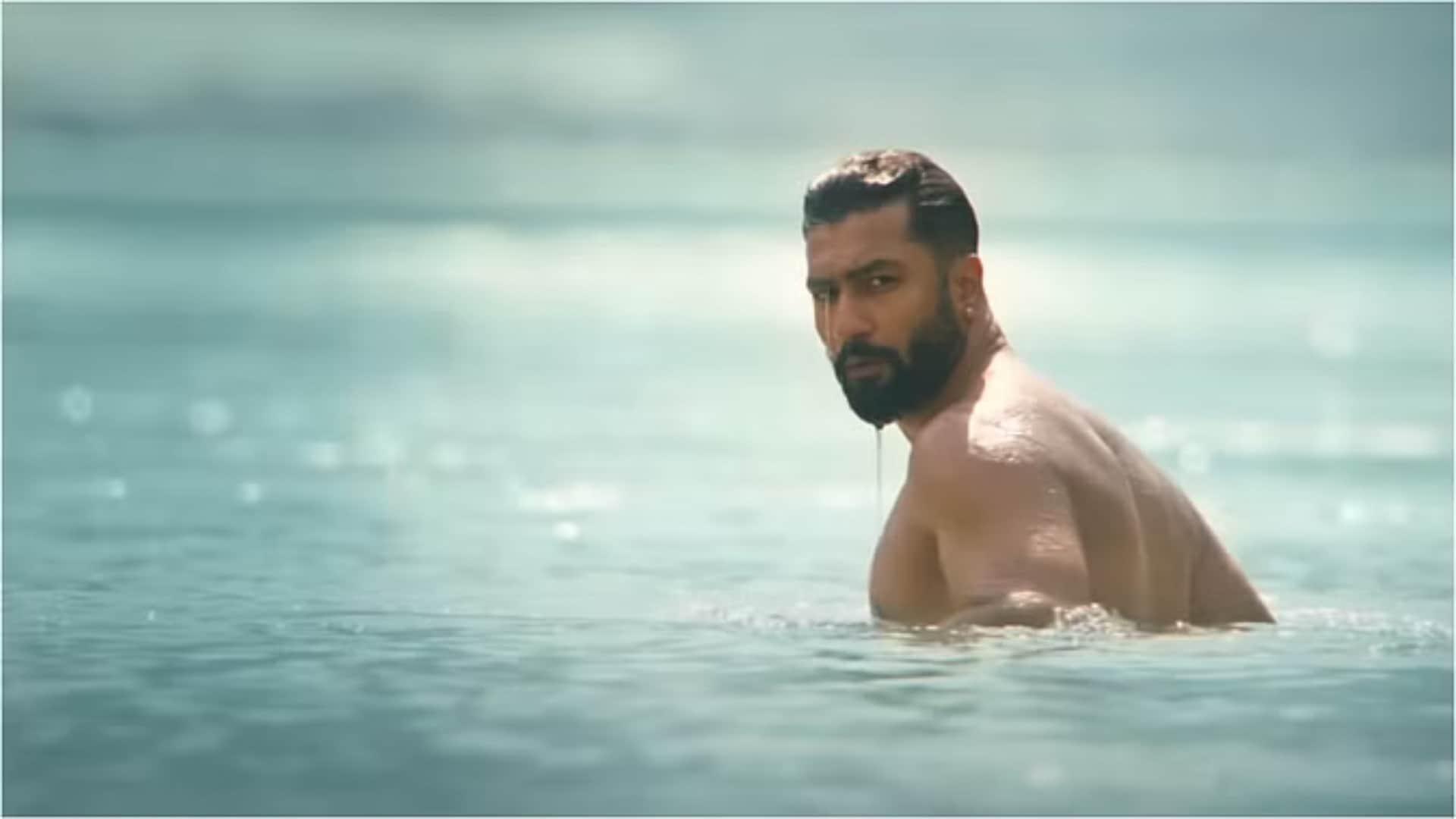 Bad Newz box office collection day 14 click here to known about Tripti Dimri Vicky Kaushal film total earning