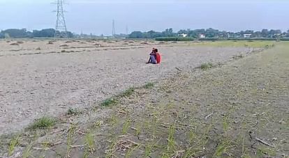 Bihar: paddy plantation is facing problems Due to the scorching sun