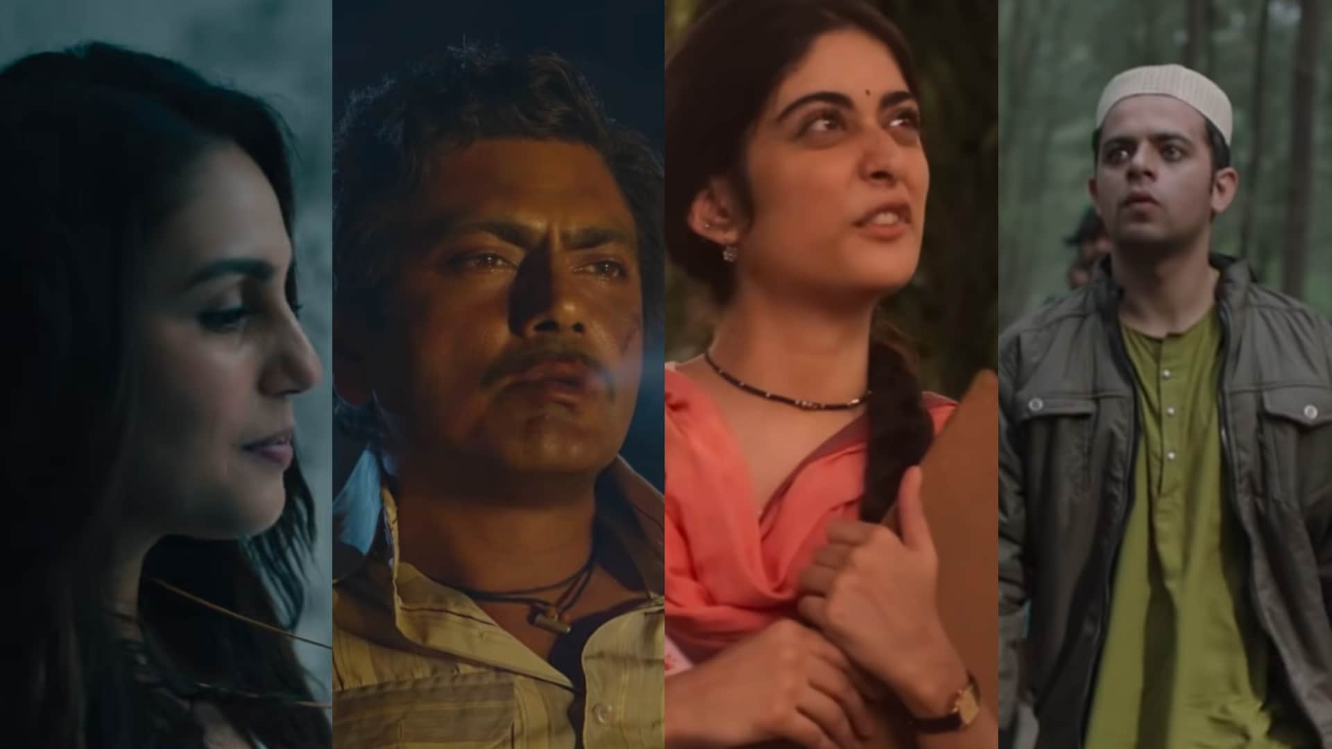 Hindi Web Series Based On Book Laila Sacred Games State Of Seize A Suitable Boy