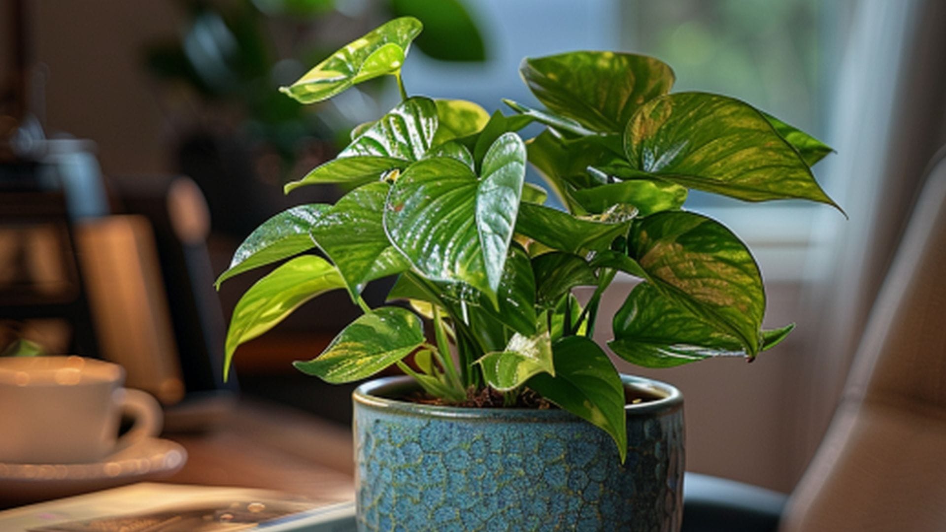 Vastu Tips For Money Plant best day to plant money plant money plant lagane ka shubh din