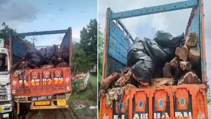 Truck driver smuggling wood tried to trampled forest department team