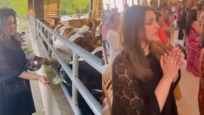 Parineeti Chopra reached ISKCON temple in London looked absorbed in devotion to God share video