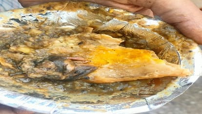 सब्जी कचौंड़ी में निकली चुहिया का सोशल मीडिया में प्रसारित फोटो