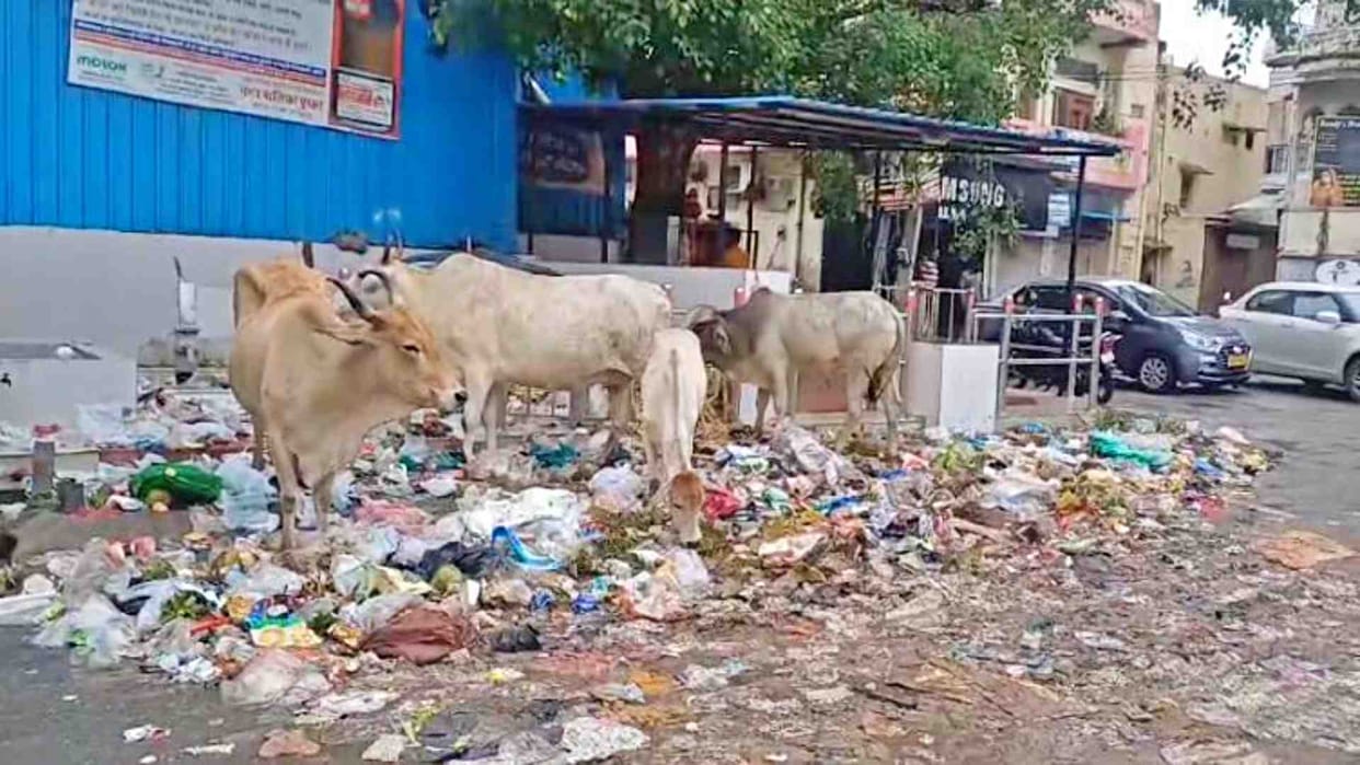 Ajmer News: Situation worsened in Pushkar due to strike of sanitation workers
