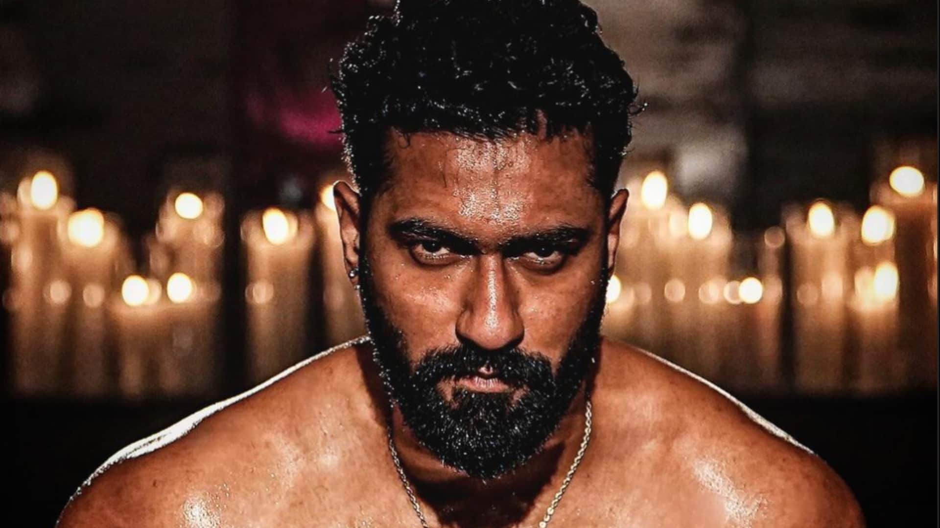 Bad Newz box office collection day 14 click here to known about Tripti Dimri Vicky Kaushal film total earning