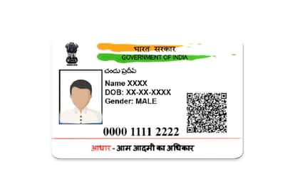 Aadhaar verification tightens noose on multiple land registrations, curbs land mafia too