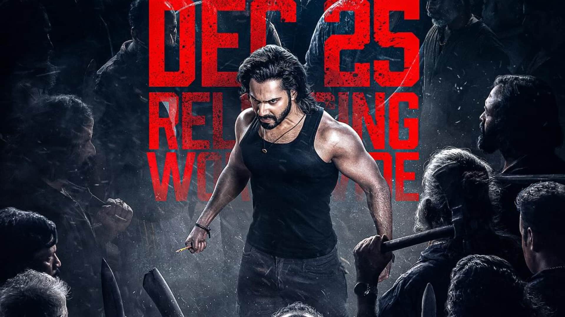 Varun Dhawan Film Baby John Salman Khan Do Cameo Fans Watch Movie For Dabaang Star