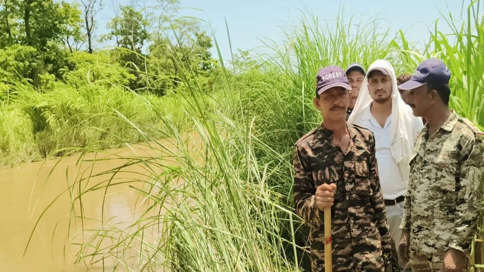 Crocodile drags teenager into water in front of father and brother in Nanakmatta