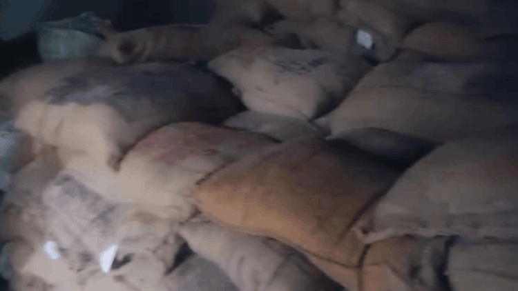 Uttarakhand News: गोदामों से कम राशन दे रहे, हमें थमा दी ई-पॉज मशीन...धर्मकांटे लगाने की प्रक्रिया शुरू