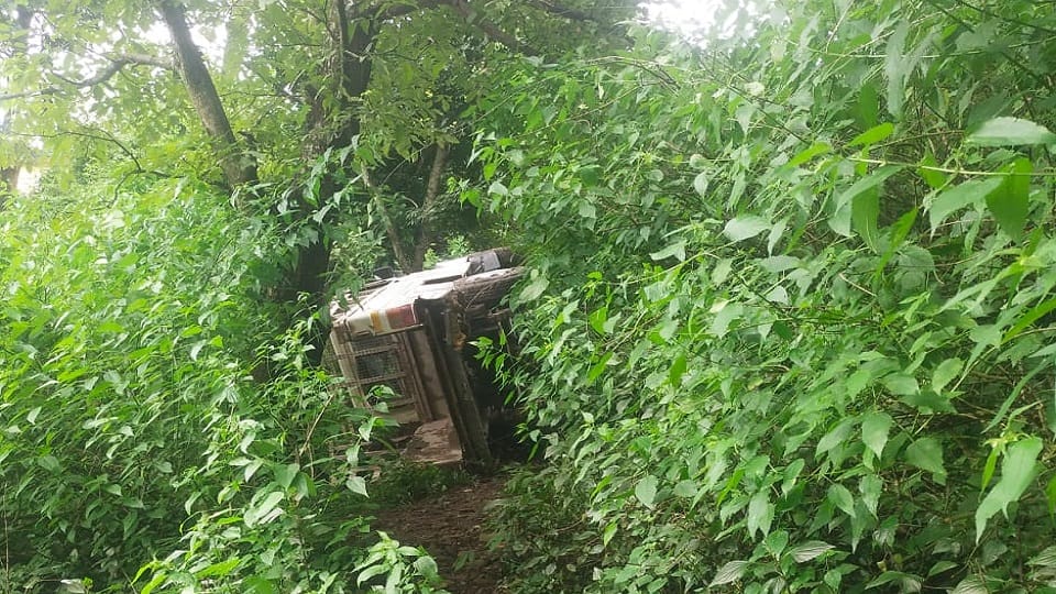 A laborer died after his pickup fell into a ditch in bhowali