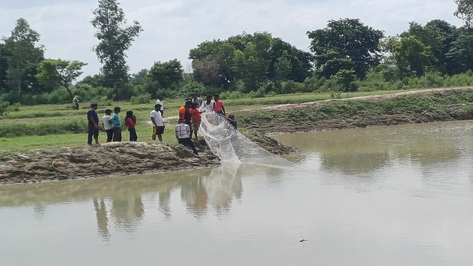 crocodile hide and seek in pond search went on whole day couldn't catch