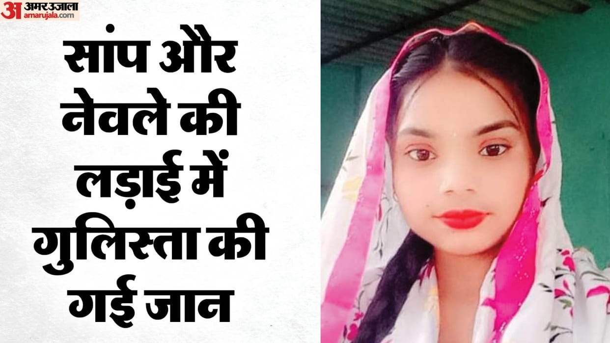 A teenage girl watching a fight between snake and mongoose she bitten by a snake and died