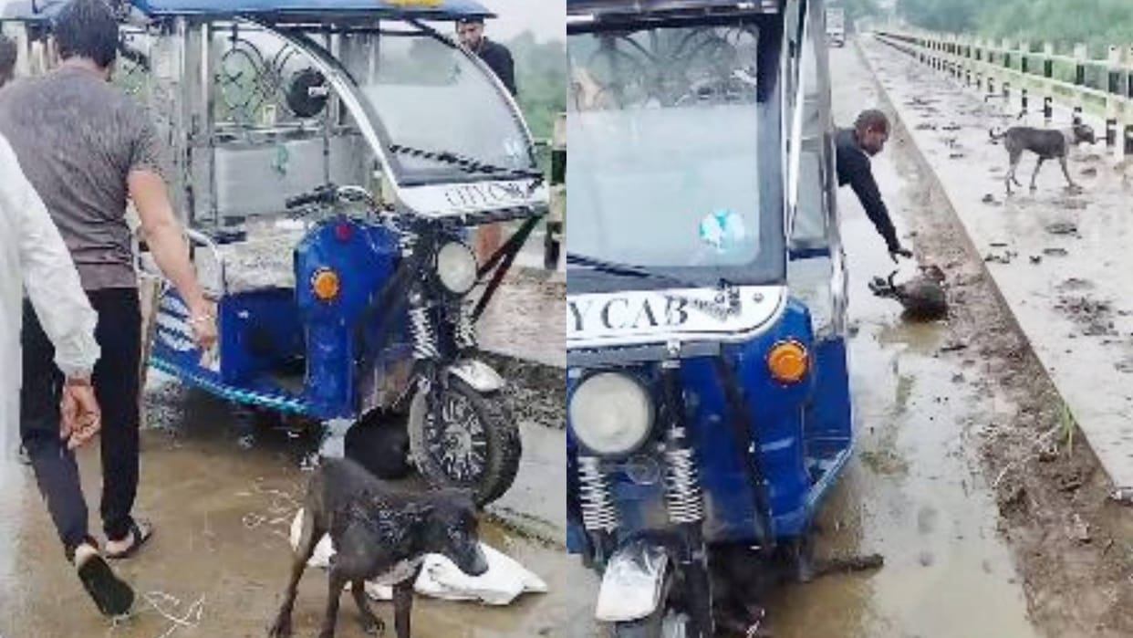 Satna Attempt to throw six live dogs in river by tying them in sack police registered case against culprits