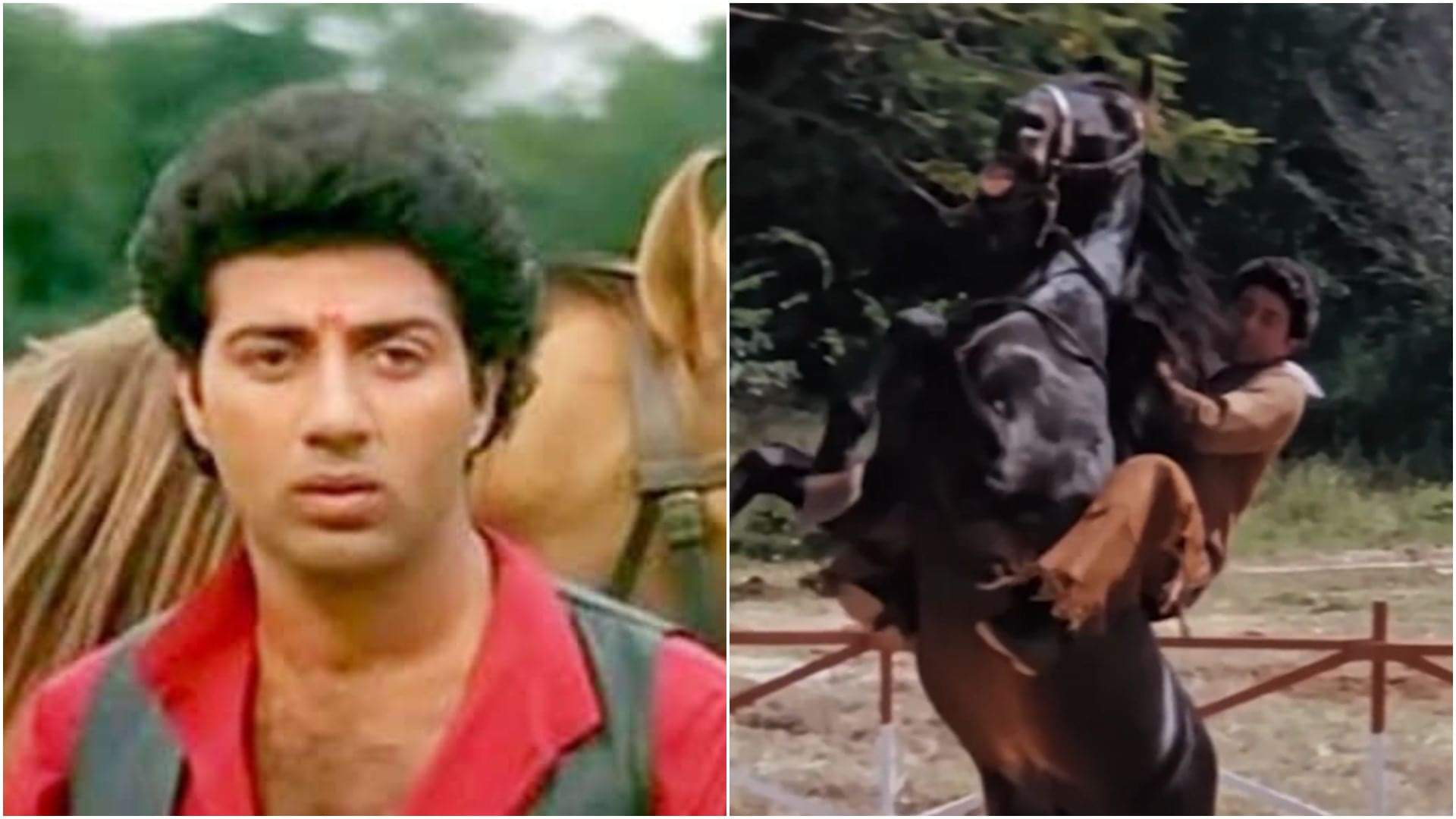 41 Years of Betaab: Sunny Deol Debut Movie anniversary Actor shares memories Know about box office report