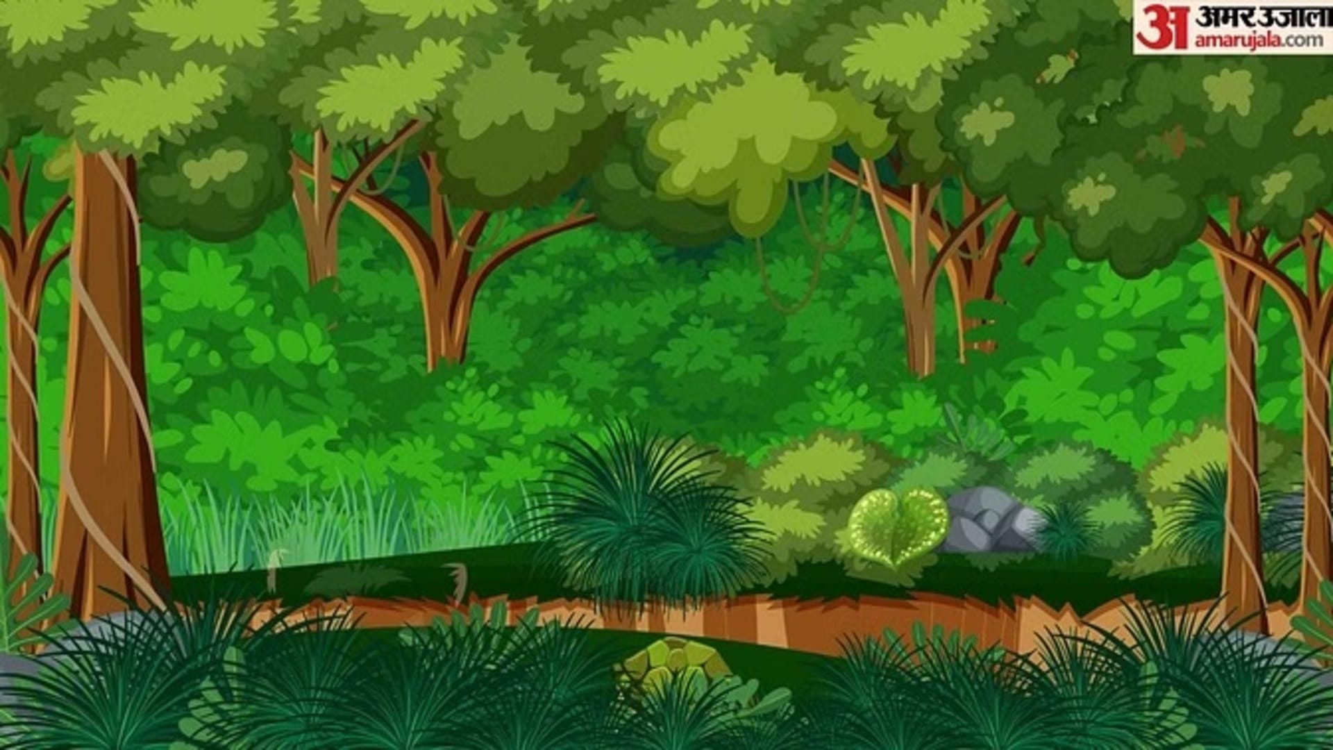 Optical Illusion Images Find Out Hidden Tortoise from Picture Check Your Brain IQ