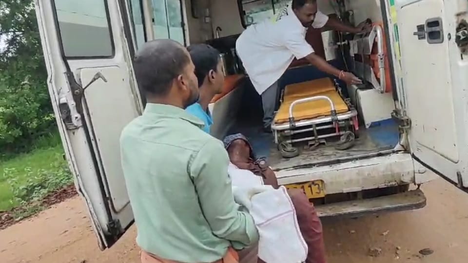 Villagers who went to the forest to collect wood were attacked by a bear in Gaurela Pendra Marwahi