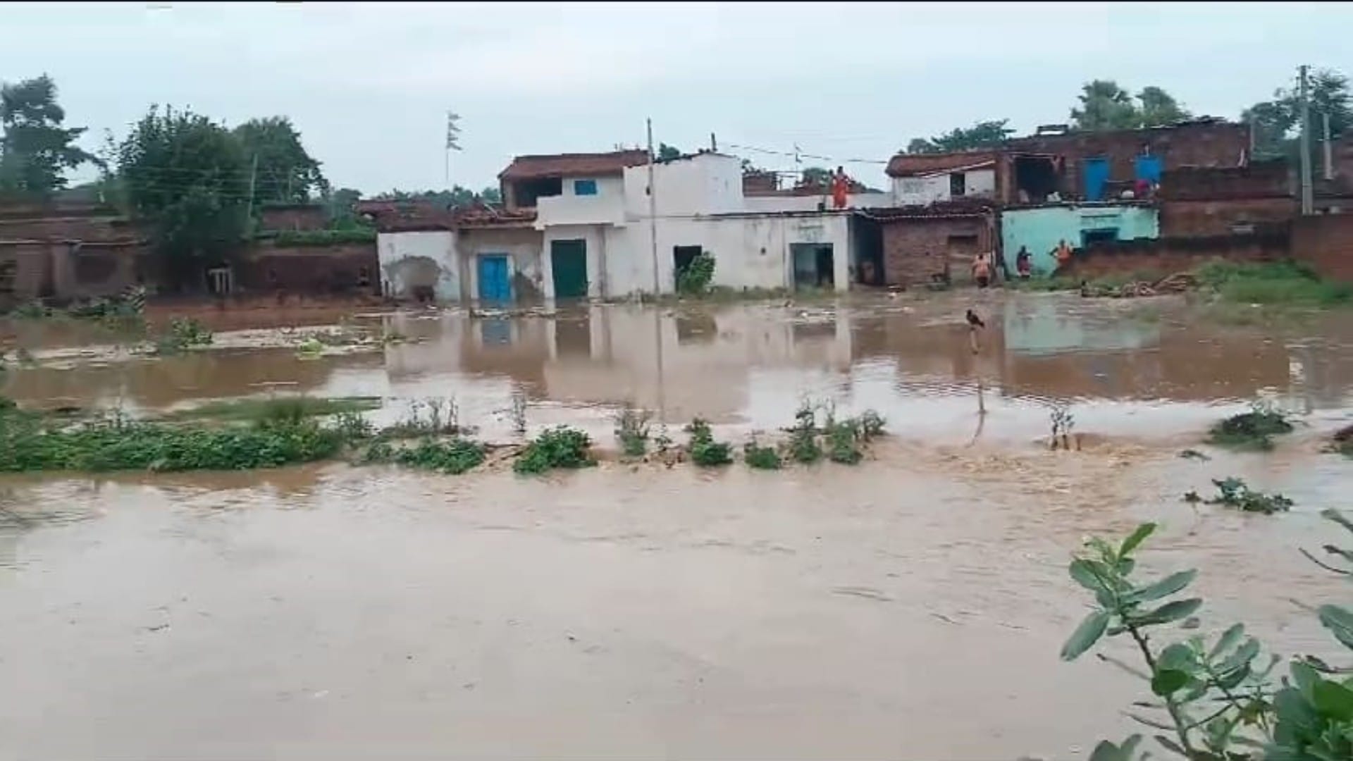 Nalanda: Due to breaking of embankment of Lokin river, water spread in fields, a dozen villages also submerged