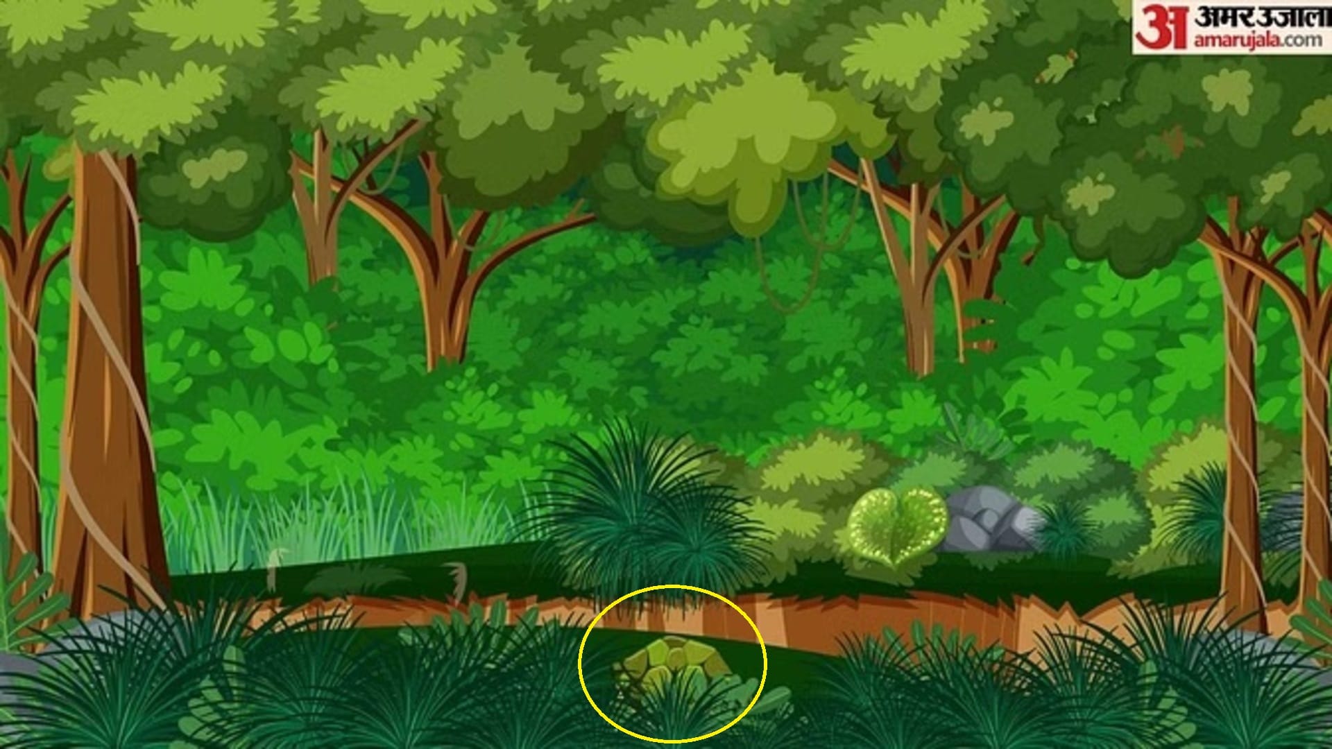 Optical Illusion Images Find Out Hidden Tortoise from Picture Check Your Brain IQ