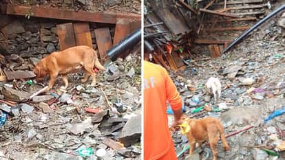 पधर उपमंडल के राजबन गांव में चलाए जा रहे सर्च ऑपरेशन के चौथे दिन दो और शव मिले हैं।