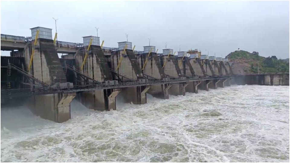Tikamgarh News: 47.8 mm rain recorded in the district in 24 hours, Bansujara Dam 12 gates opened