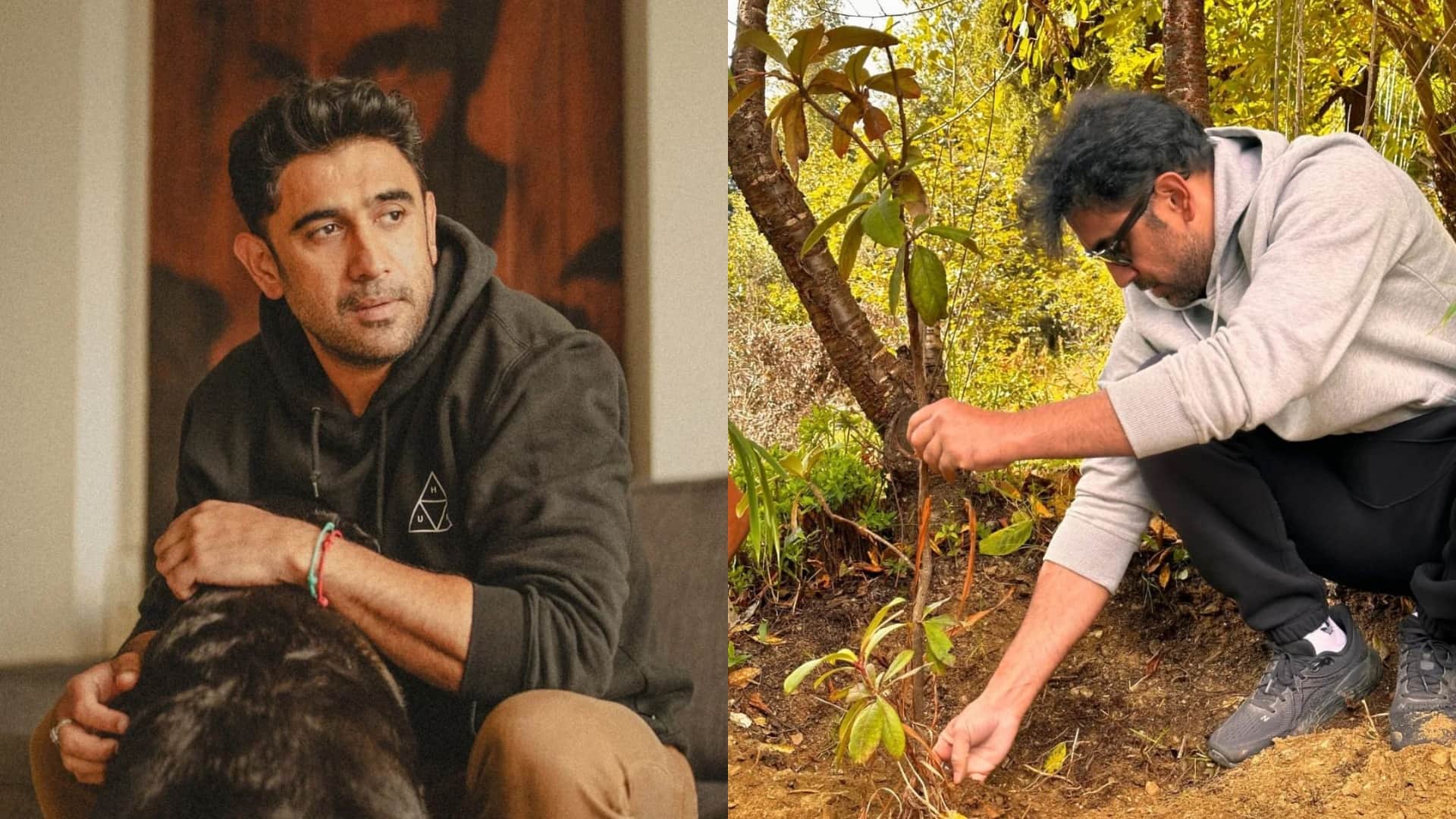 These  Bollywood celebs Are Nature Lovers Jackie Shroff Amit Sadh Randeep Hooda Dia Mirza