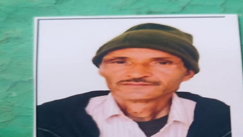 55 year old farmer dies in attack by wild bees in nainital