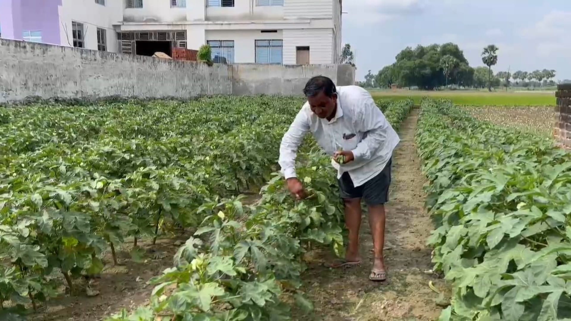Bihar News: Nalanda farmer Rakesh Kumar will be special guest on occasion of Independence Day