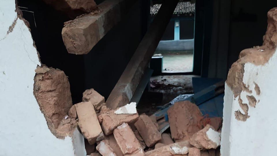 Elephants created havoc in village at midnight vandalized seven houses in Korba