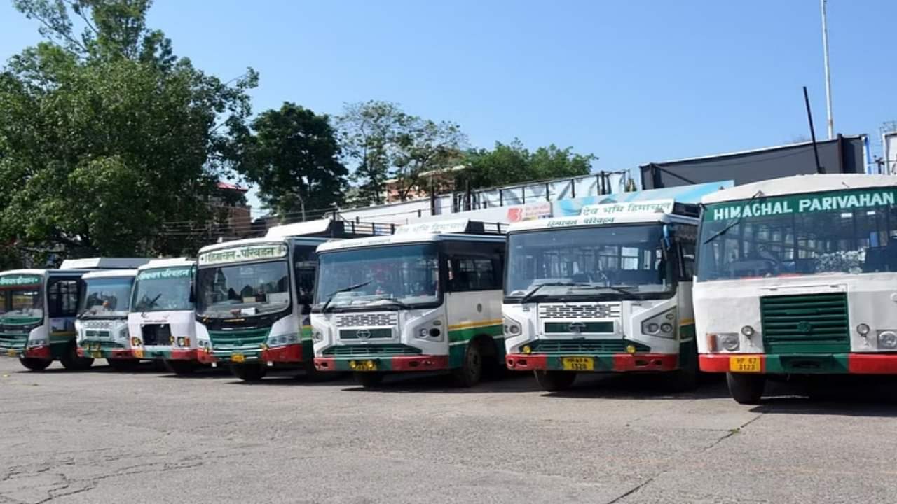 एचआरटीसी बसें।