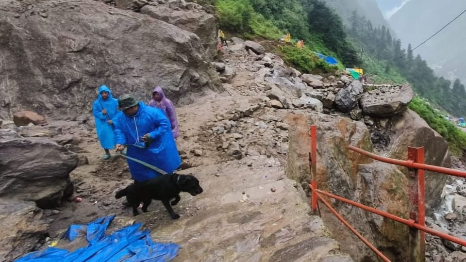 Kedarnath Dham 20 People Died and 20 missing in last two months Due to rainfall and Landslide