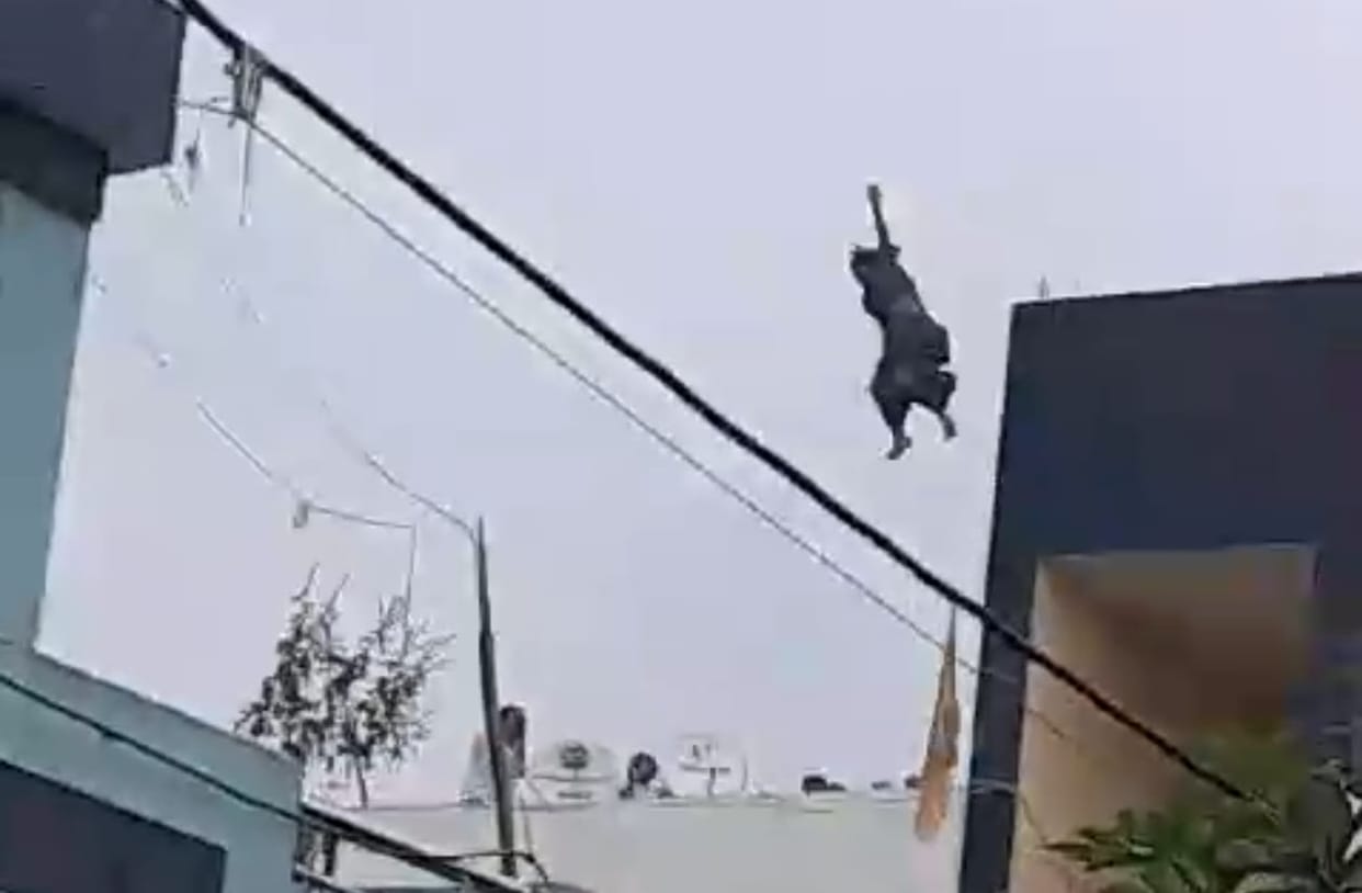 Indore: Woman jumped from third floor in Indore, had argument with husband