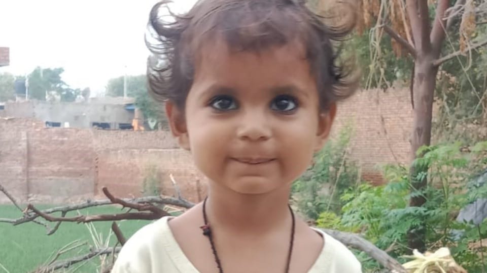 Girl child died after School van hit in Bathinda