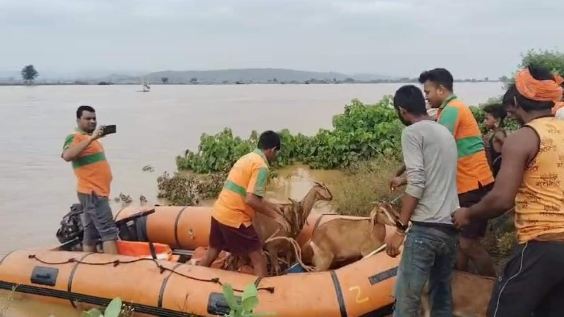Rohtas News: More than 15 livestock farmers stranded on mound in middle of Son River
