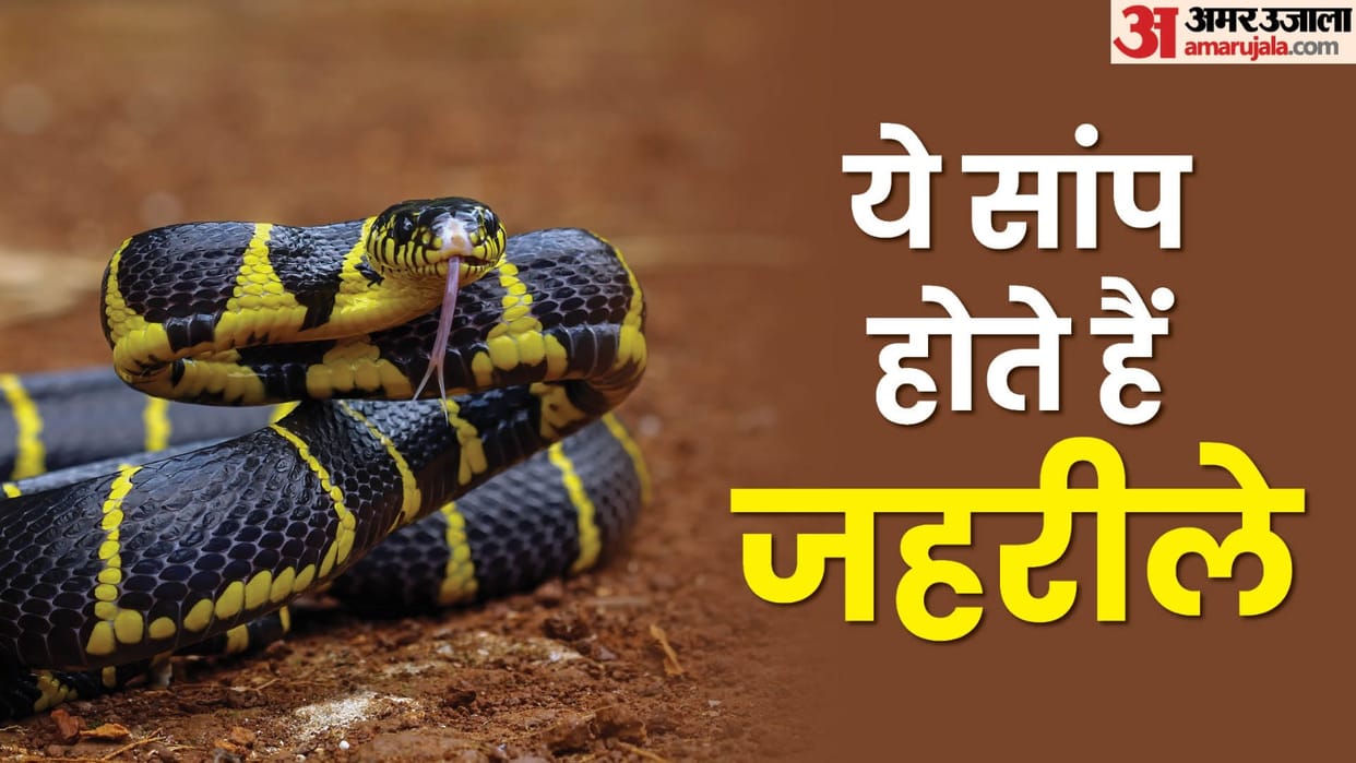 Snake venom caused Parkinson disease case reported at KGMU shocked doctors