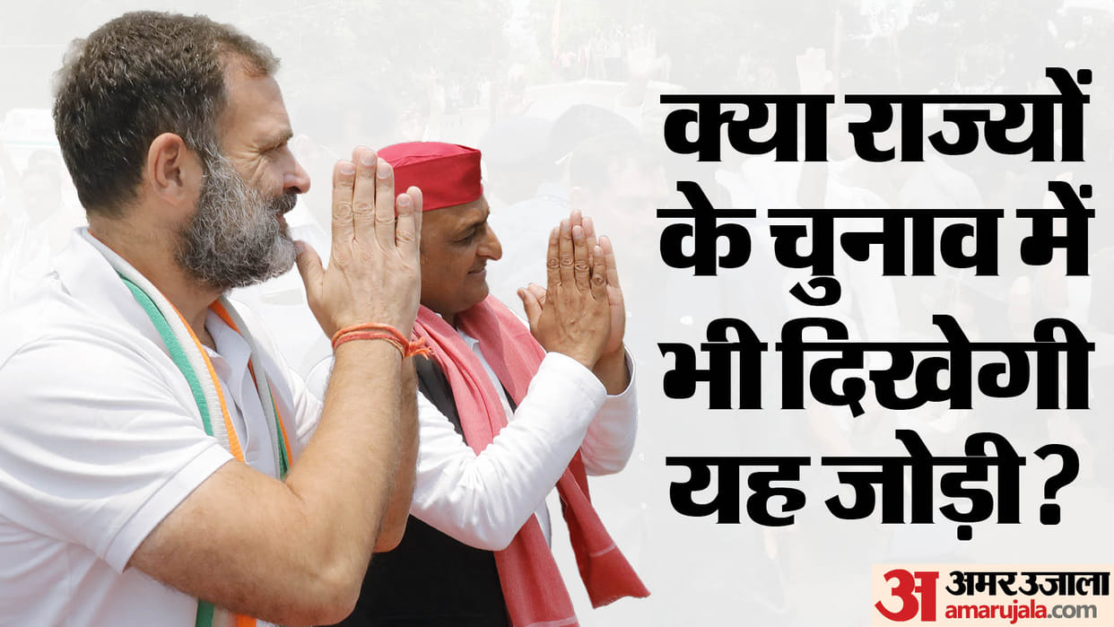 By-elections in UP: Congress made in-charge of all ten seats, responsibility given to all MPs except Rahul